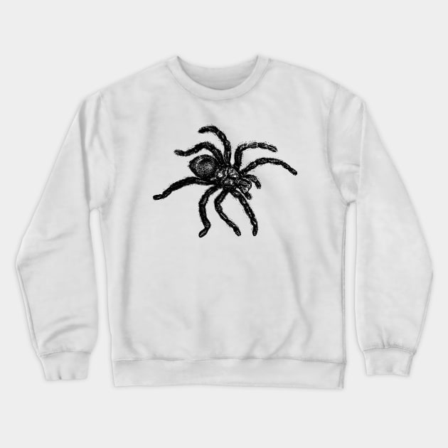 Vintage Tarantula Illustration Crewneck Sweatshirt by tommartinart